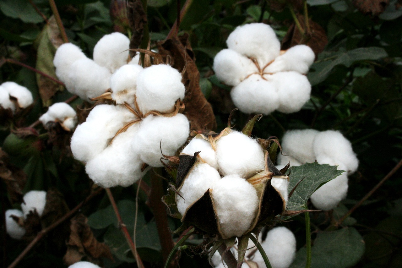 쉐보레 GM천안부품센타