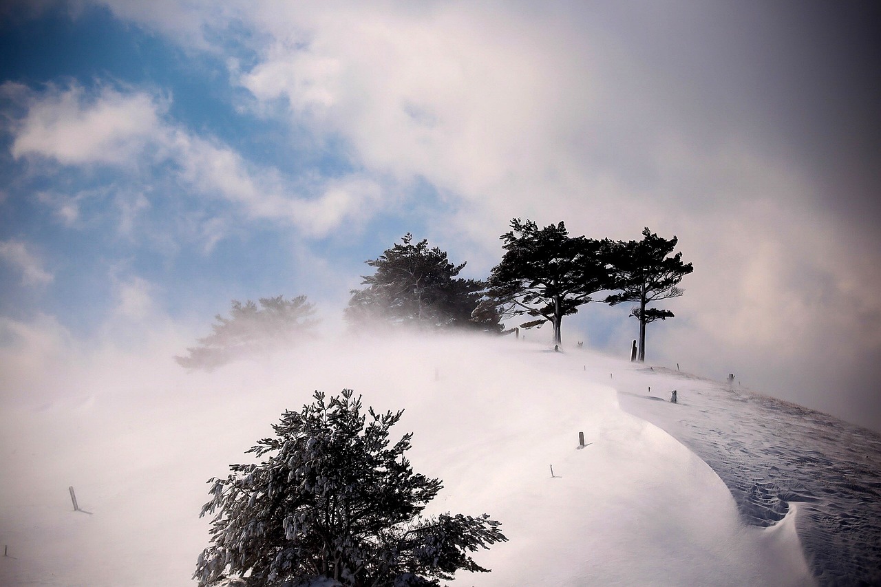 울산중고차매매사이트