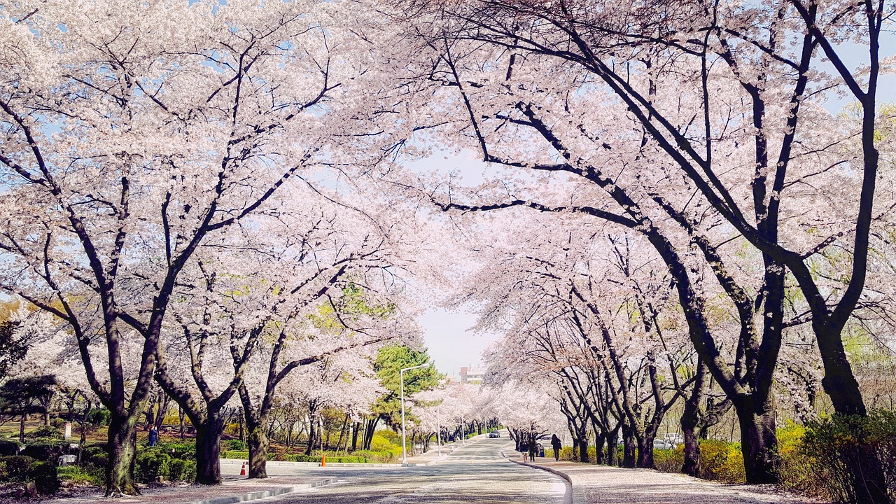 대구중고차매입