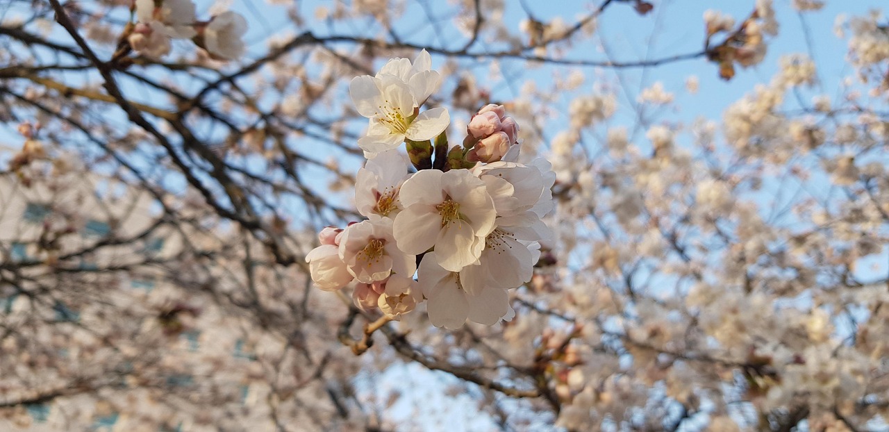 기아 오토큐 서비스센터 울산 남구