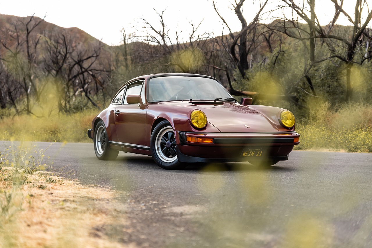 르노 911!